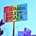 Sözleşme Yok, Güvence Yok