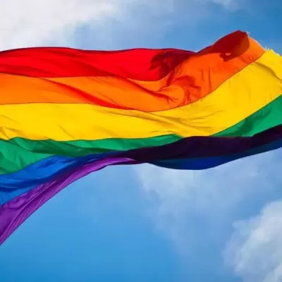 Beyaz Perdeye Sığmayan Bedenler: Türkiye'de Trans Bireylerin Mücadelesi